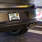 Guyana Vanity License Plate