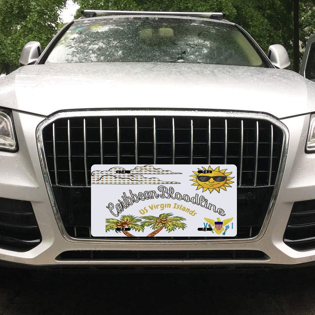 Car License Plate-11.8”x5.9”