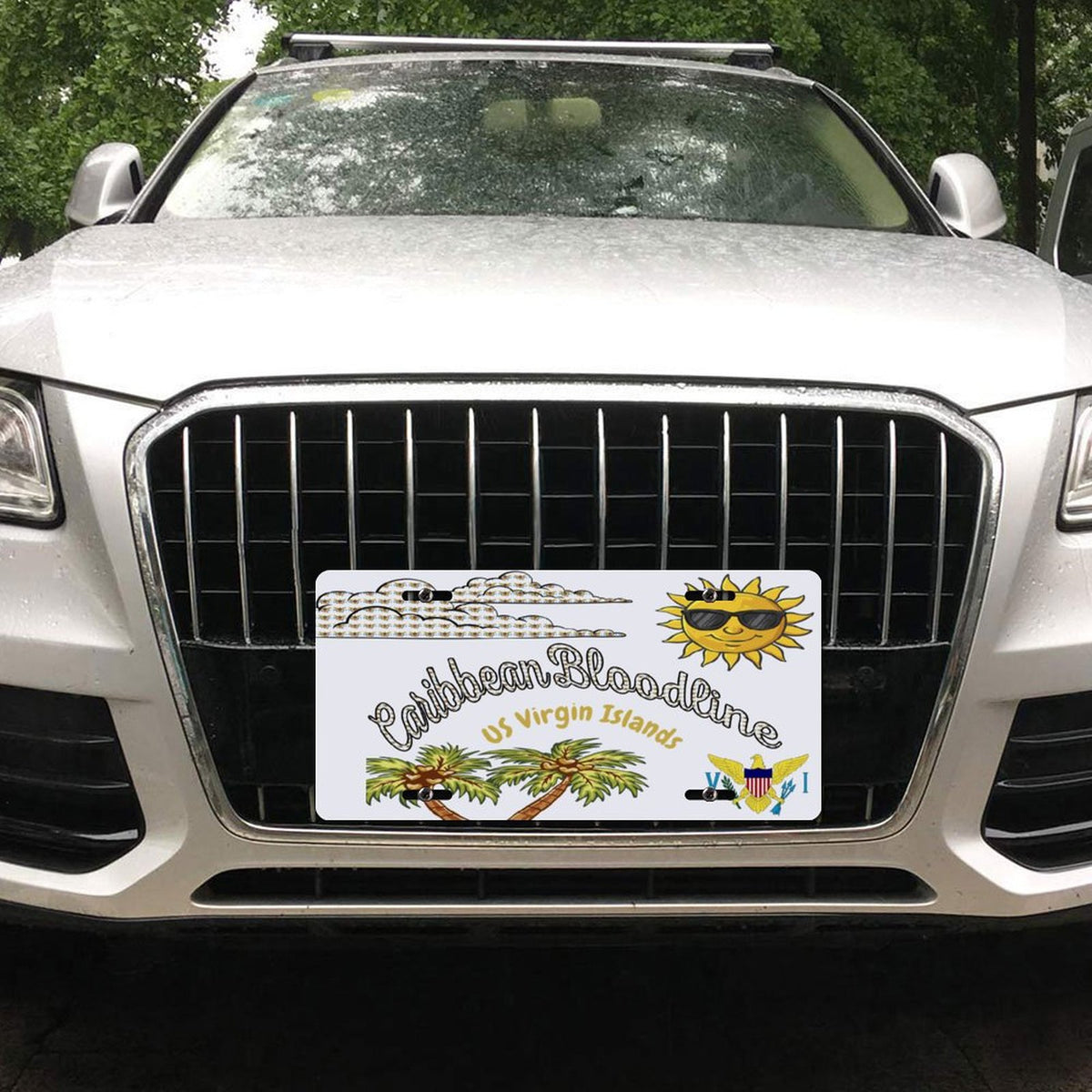 Car License Plate-11.8”x5.9”